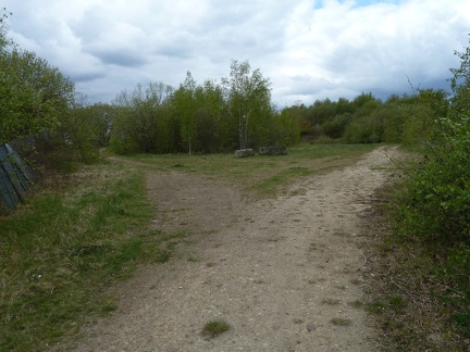 A Clearing