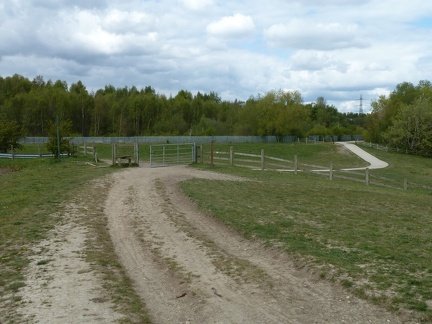 The Paths Join