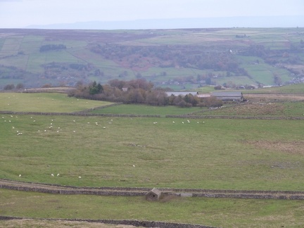 Nidderdale