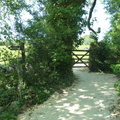 Adel Woods