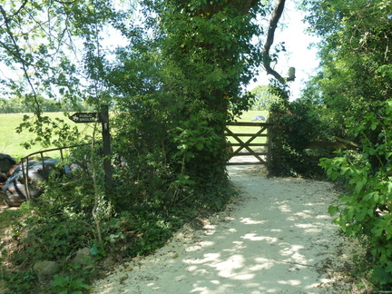 Adel Woods