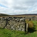 Sheep Pen