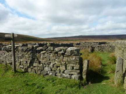 Sheep Pen