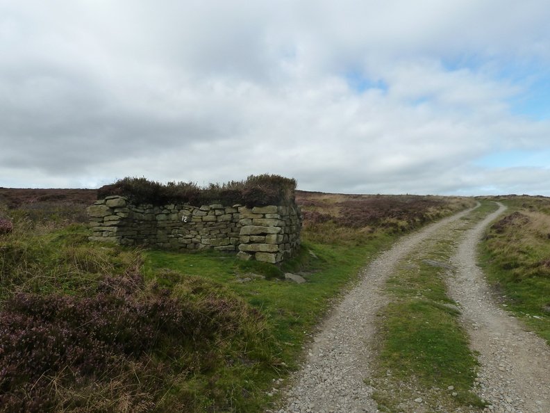 P1230733.JPG