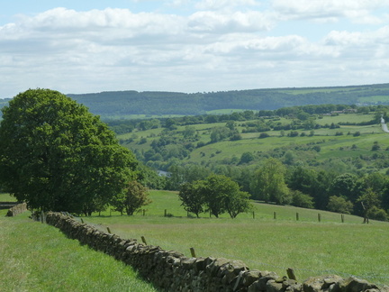Looking Down on Lindley Wood