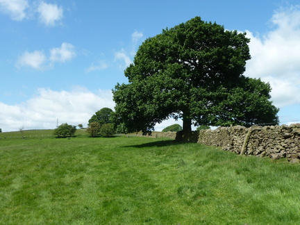 The Valley Side