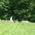 Into Lindley Wood
