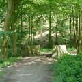 Stone Bridge