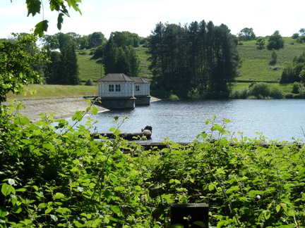 Lindley Wood Dam