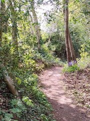 IMG_20260425_134123138.jpg