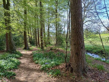 IMG_20260425_134332873_HDR.jpg