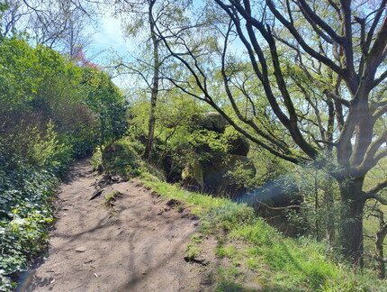 IMG_20260425_141604131_HDR.jpg