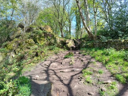 IMG_20260425_142012330_HDR.jpg
