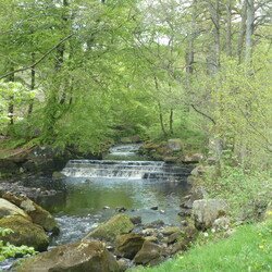 The Yorkshire Dales