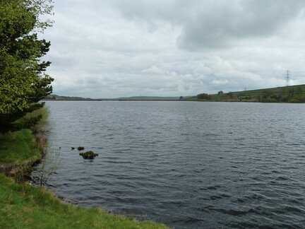P1130951.JPG