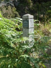 Stanza Stones