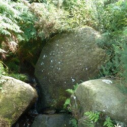 Ilkley Moor and Heber's Ghyll