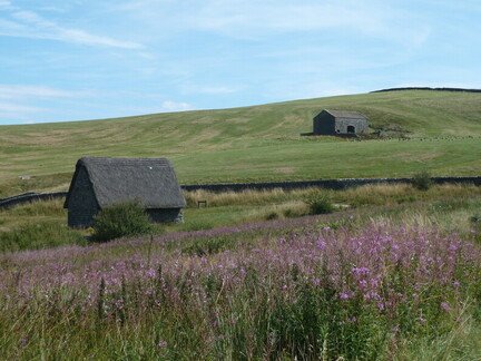 Two Barns