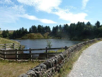 Grimwith Beck